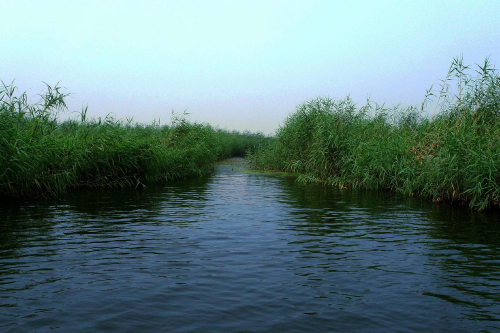 水質(zhì)監(jiān)測